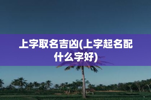 上字取名吉凶(上字起名配什么字好)