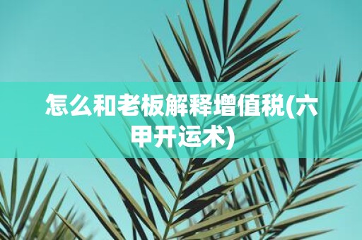 怎么和老板解释增值税(六甲开运术)