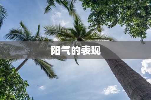 阳气的表现