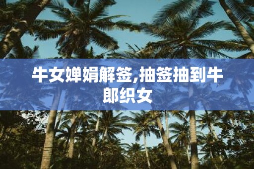 牛女婵娟解签,抽签抽到牛郎织女