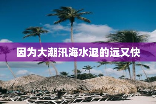 因为大潮汛海水退的远又快
