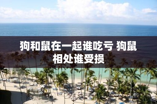 狗和鼠在一起谁吃亏 狗鼠相处谁受损
