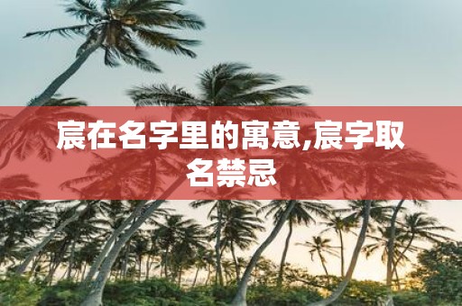 宸在名字里的寓意,宸字取名禁忌