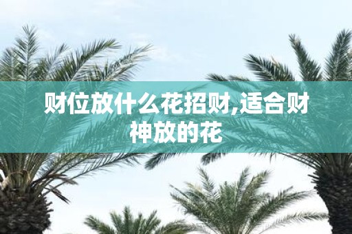 财位放什么花招财,适合财神放的花