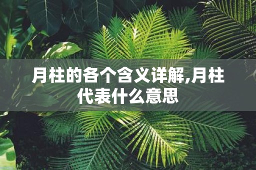月柱的各个含义详解,月柱代表什么意思