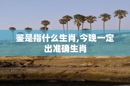 鉴是指什么生肖,今晚一定出准确生肖