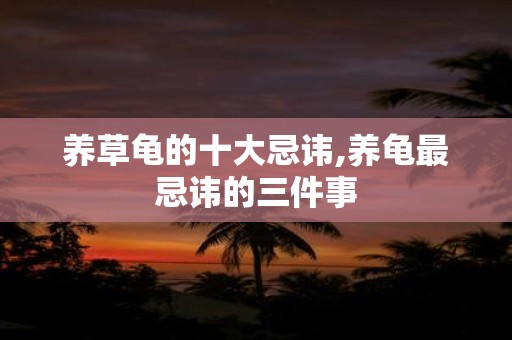 养草龟的十大忌讳,养龟最忌讳的三件事