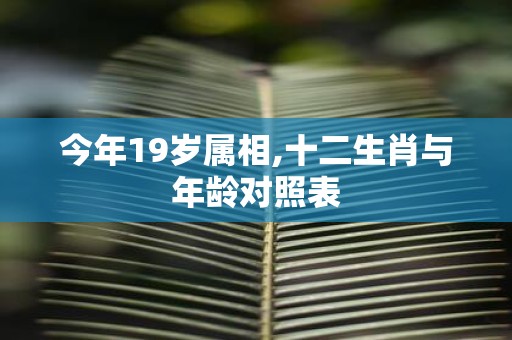 今年19岁属相,十二生肖与年龄对照表