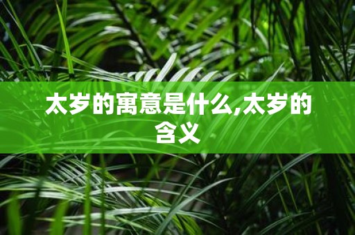 太岁的寓意是什么,太岁的含义