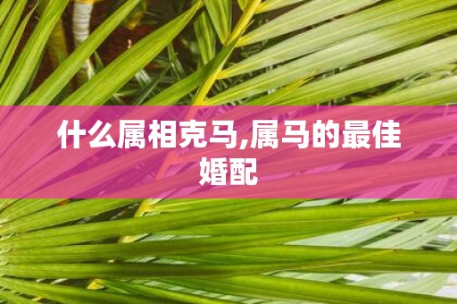 什么属相克马,属马的最佳婚配