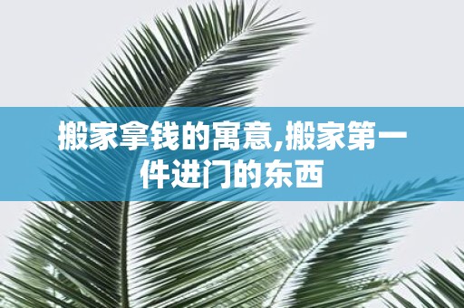 搬家拿钱的寓意,搬家第一件进门的东西