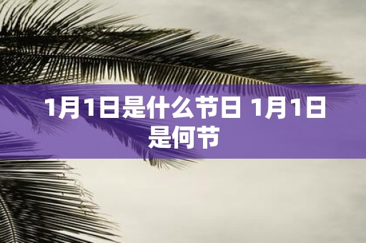 1月1日是什么节日 1月1日是何节