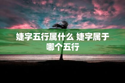 婕字五行属什么 婕字属于哪个五行