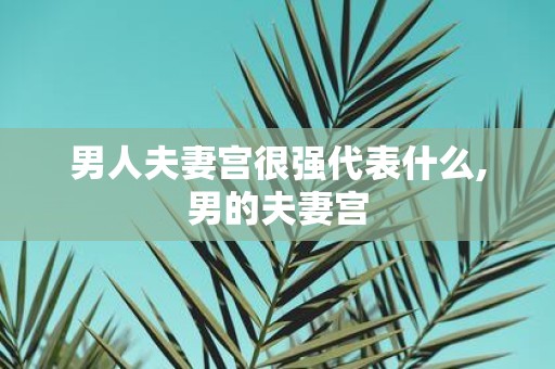 男人夫妻宫很强代表什么,男的夫妻宫