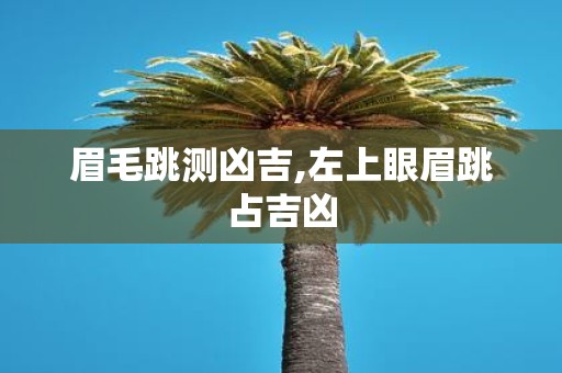 眉毛跳测凶吉,左上眼眉跳占吉凶