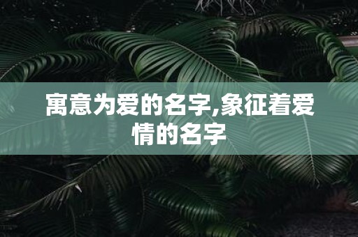寓意为爱的名字,象征着爱情的名字