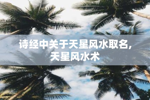 诗经中关于天星风水取名,天星风水术