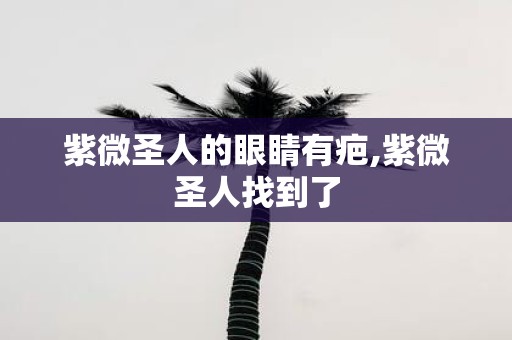 紫微圣人的眼睛有疤,紫微圣人找到了