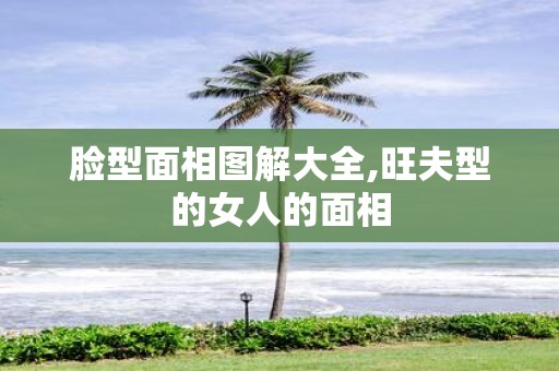 脸型面相图解大全,旺夫型的女人的面相