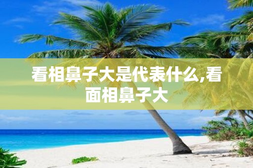 看相鼻子大是代表什么,看面相鼻子大