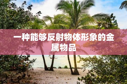 一种能够反射物体形象的金属物品