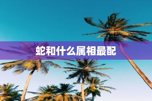 蛇和什么属相最配