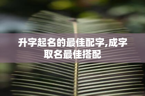 升字起名的最佳配字,成字取名最佳搭配