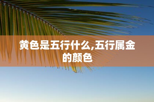 黄色是五行什么,五行属金的颜色
