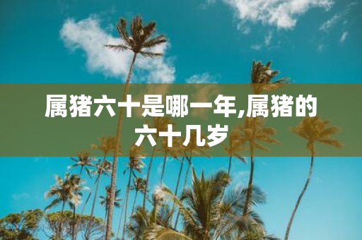 属猪六十是哪一年,属猪的六十几岁