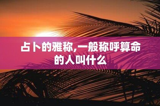 占卜的雅称,一般称呼算命的人叫什么
