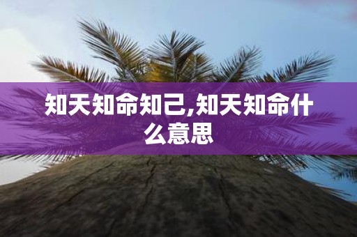 知天知命知己,知天知命什么意思
