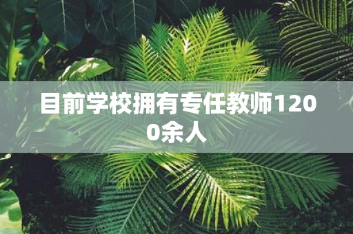 目前学校拥有专任教师1200余人