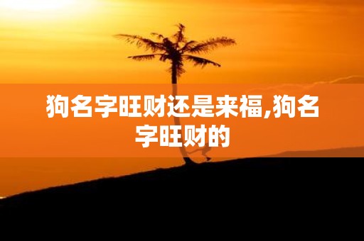 狗名字旺财还是来福,狗名字旺财的