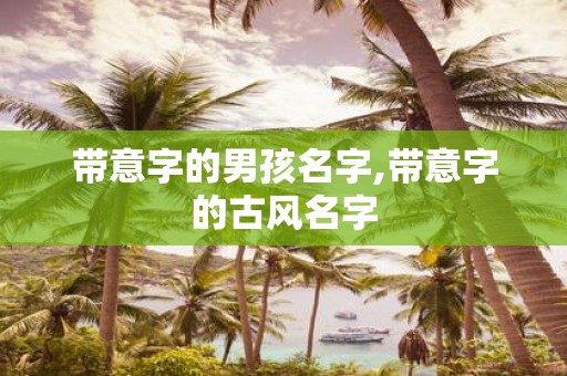 带意字的男孩名字,带意字的古风名字