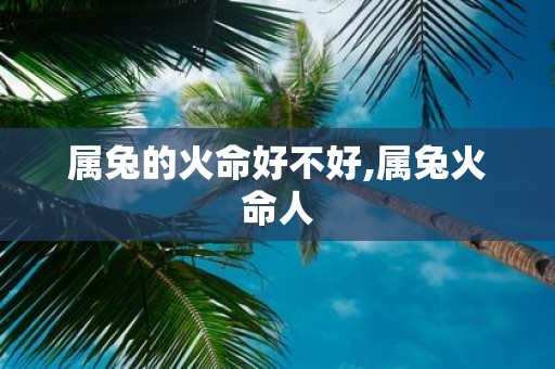 属兔的火命好不好,属兔火命人