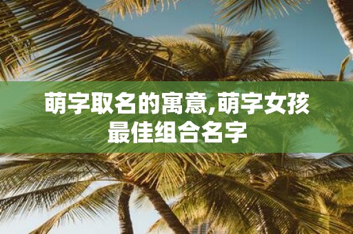 萌字取名的寓意,萌字女孩最佳组合名字