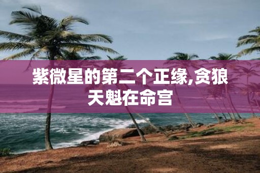 紫微星的第二个正缘,贪狼天魁在命宫