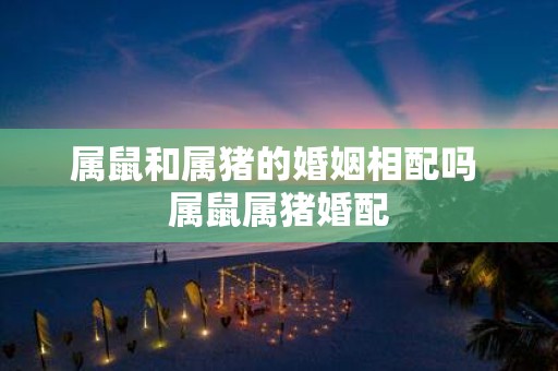 属鼠和属猪的婚姻相配吗 属鼠属猪婚配