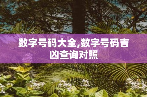 数字号码大全,数字号码吉凶查询对照