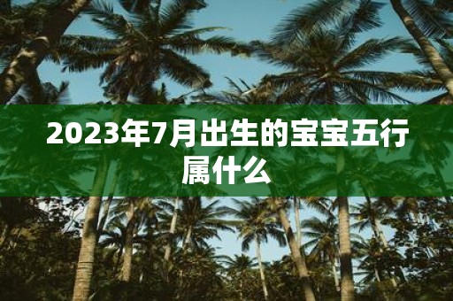 2025年7月出生的宝宝五行属什么