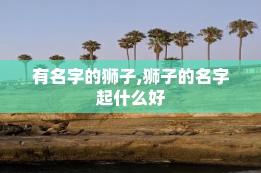 有名字的狮子,狮子的名字起什么好