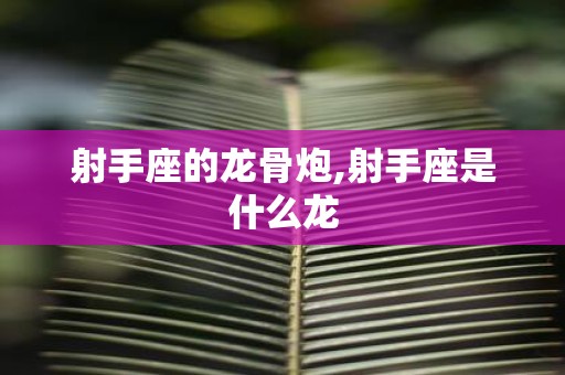 射手座的龙骨炮,射手座是什么龙
