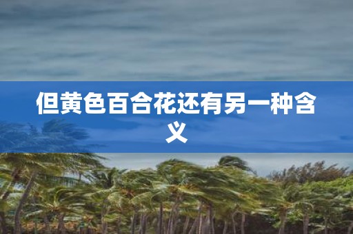 但黄色百合花还有另一种含义