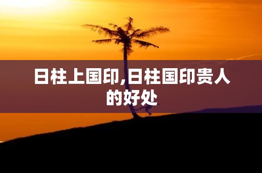 日柱上国印,日柱国印贵人的好处