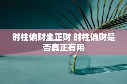 时柱偏财坐正财 时柱偏财是否真正有用