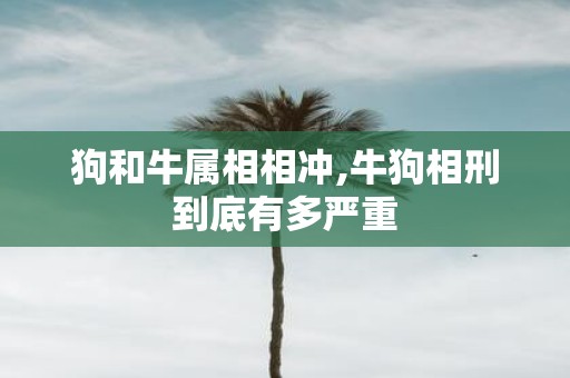 狗和牛属相相冲,牛狗相刑到底有多严重