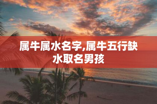 属牛属水名字,属牛五行缺水取名男孩