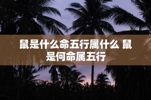 鼠是什么命五行属什么 鼠是何命属五行
