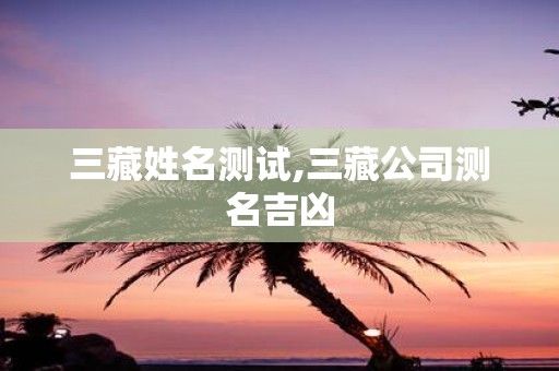 三藏姓名测试,三藏公司测名吉凶