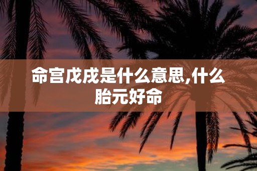 命宫戊戌是什么意思,什么胎元好命